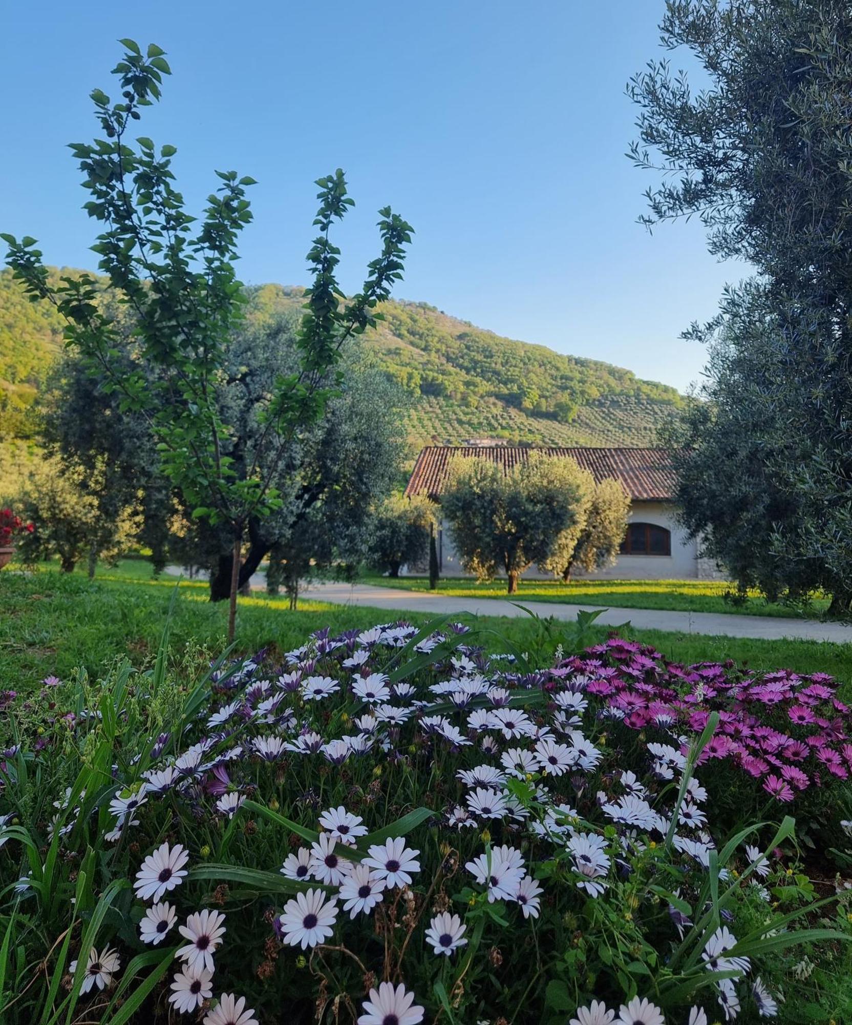 Casale Dei Priori Bed & Breakfast Rocca Massima Exterior foto